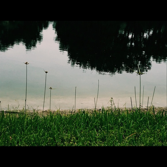 Meet your Posher, Kylee - Picture 1 of 1